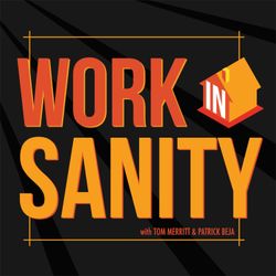 cover art for Work In Sanity