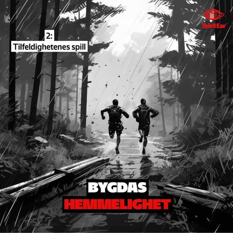 cover art for Bygdas hemmelighet 2/4 - Tilfeldighetenes spill