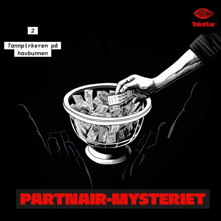 cover art for Partnair-mysteriet 2/5 - Tannpirkeren på havbunnen