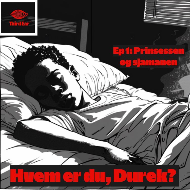 cover art for  Hvem er du, Durek? 1/4 - Prinsessen og sjamanen