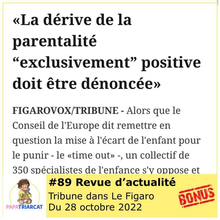 cover art for DECOUVERTE BONUS #89 - Tribune dans le Figaro du 28 octobre 2022 - Revue d'actualité