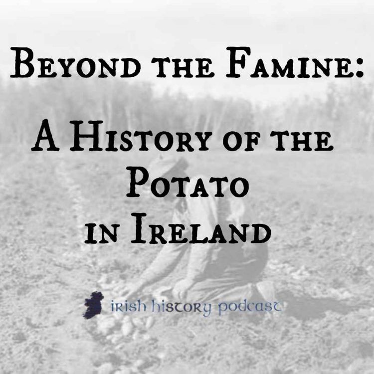 cover art for Beyond the Famine: A History of the Potato in Ireland