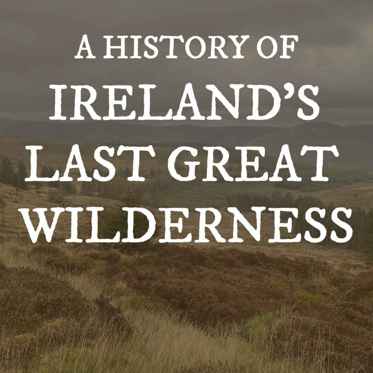 cover art for A History of Ireland's Last Great Wilderness