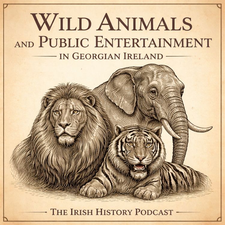 cover art for Wild Animals and Public Entertainment in Georgian Ireland