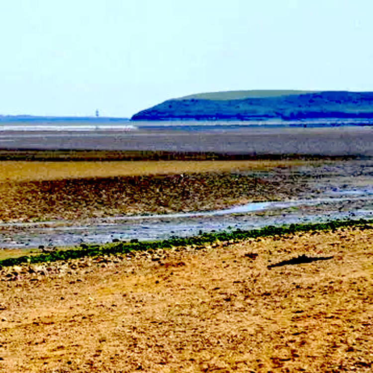 cover art for Passage East - A Medieval D-Day on Ireland's Omaha beach