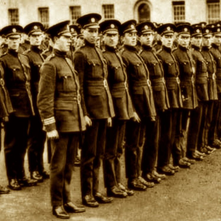 cover art for A History of the Police in Ireland