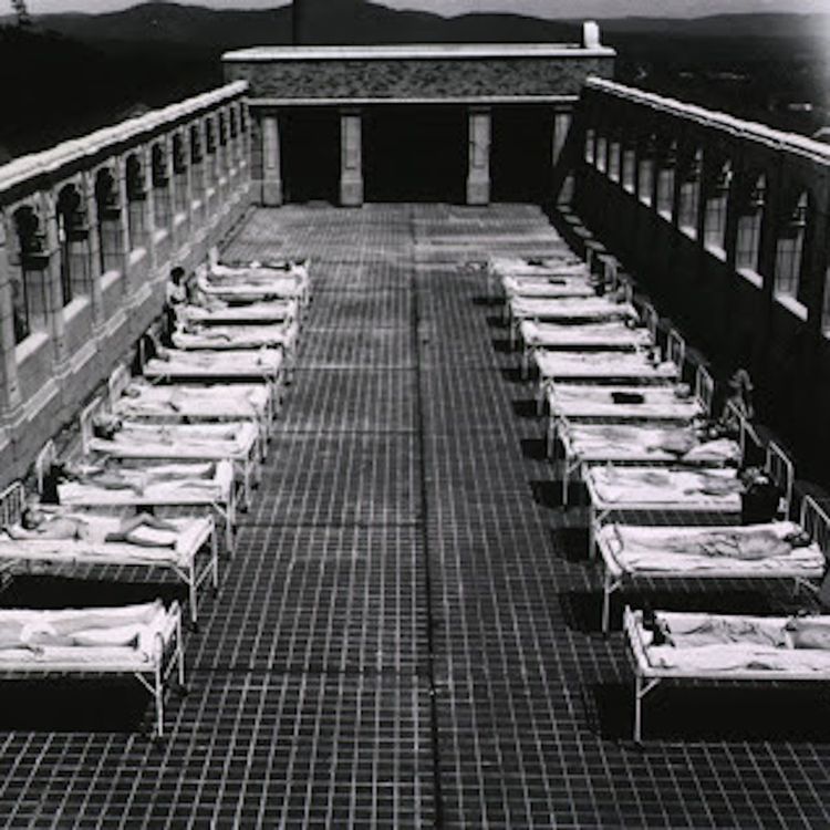 cover art for A History of Epidemics in Ireland