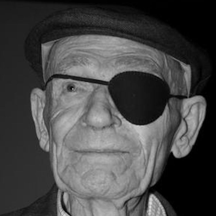 cover art for The Irish Communist Partisan (Partisans #3)