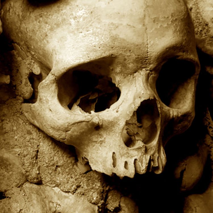 cover art for Three Lives, Three Deaths & One Life Unlived