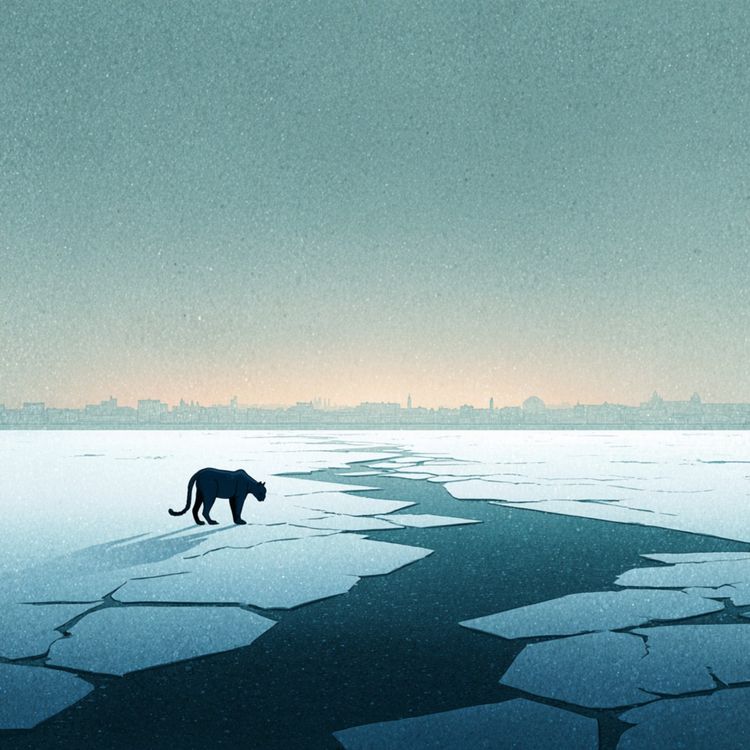 cover art for Boötes Bok del 2 - En spricka i skärmen