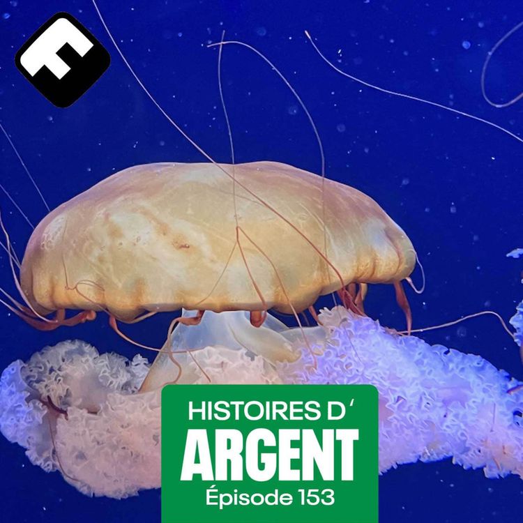 cover art for EXTRAIT// Frustration et colère pour Cynthia quand sa banque a coupé les crédits