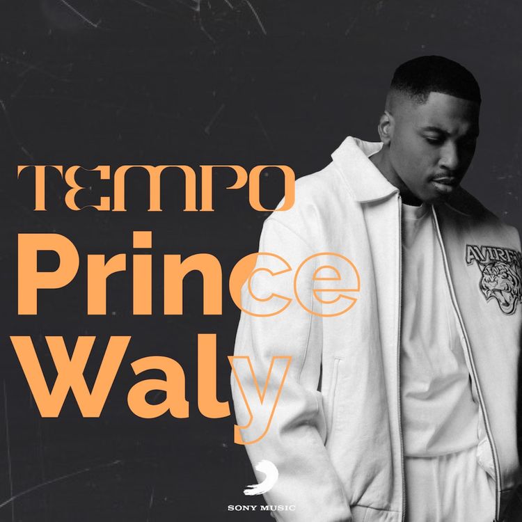 cover art for Episode 4 - Prince Waly