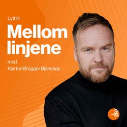 cover art for Mellom linjene