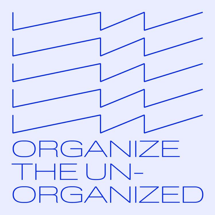 cover art for Organize the Unorganized: Taking Stock