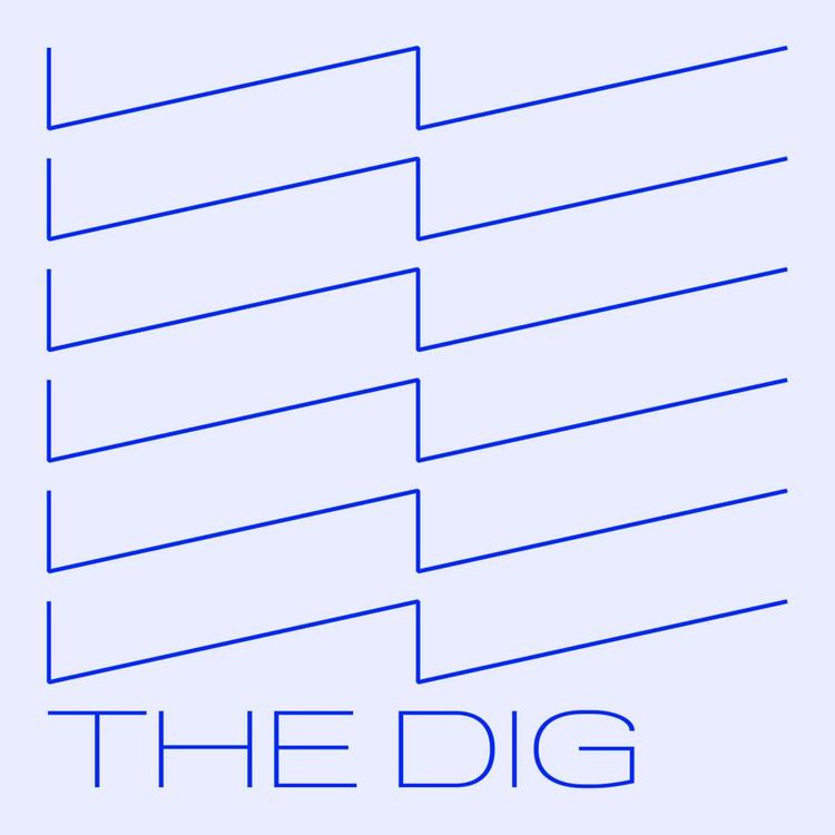 cover art for Dig: Democratic Dealignment w/ Keeanga-Yamahtta Taylor 