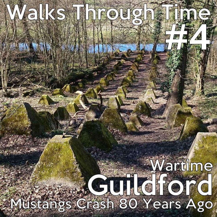 cover art for Wartime Guildford - 80 Years Since Two Mustangs Collided Over Stoke Park