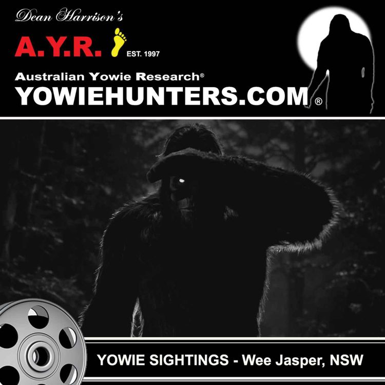 cover art for Yowie Sightings at Wee Jasper, New South Wales