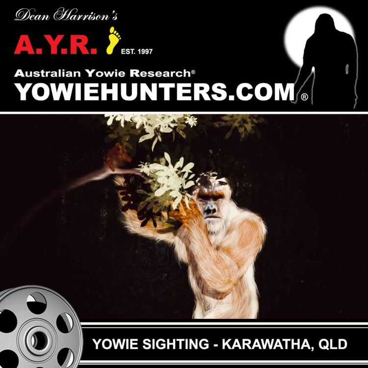 cover art for Yowie Sightings at Karawatha, Queensland 1970