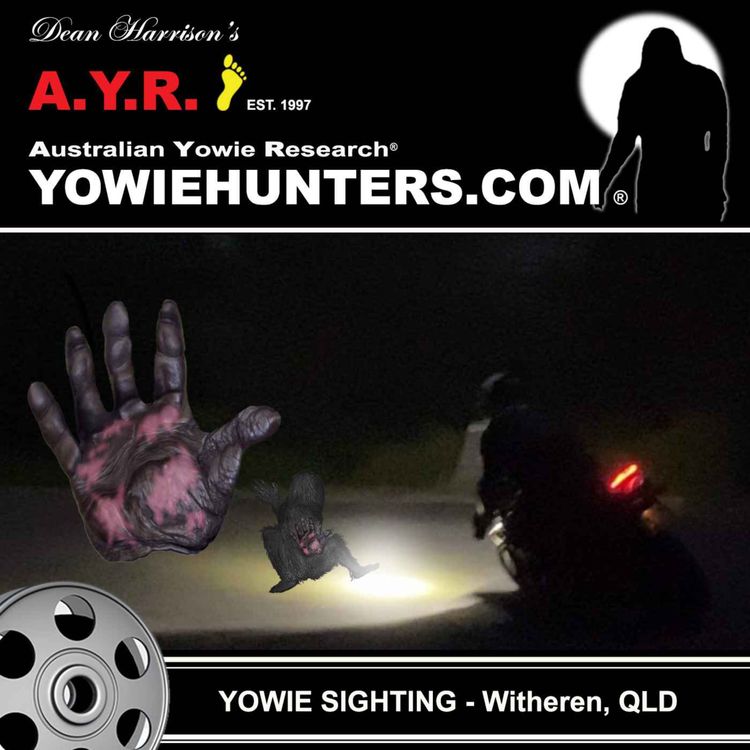 cover art for Yowie Sighting at Witheren (#3), Queensland 2022