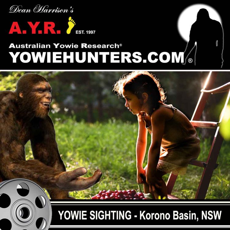 cover art for Yowie Sighting at Korono Basin (Coffs Harbour), New South Wales 1980