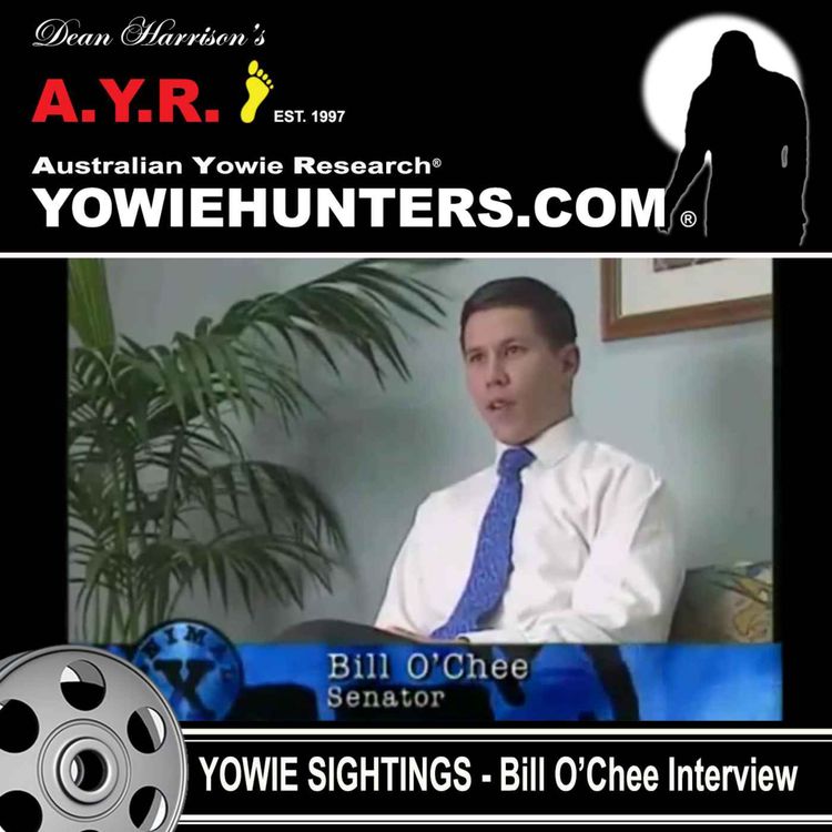 cover art for Yowie Sighting at Springbrook QLD 1977 - Bill O'Chee