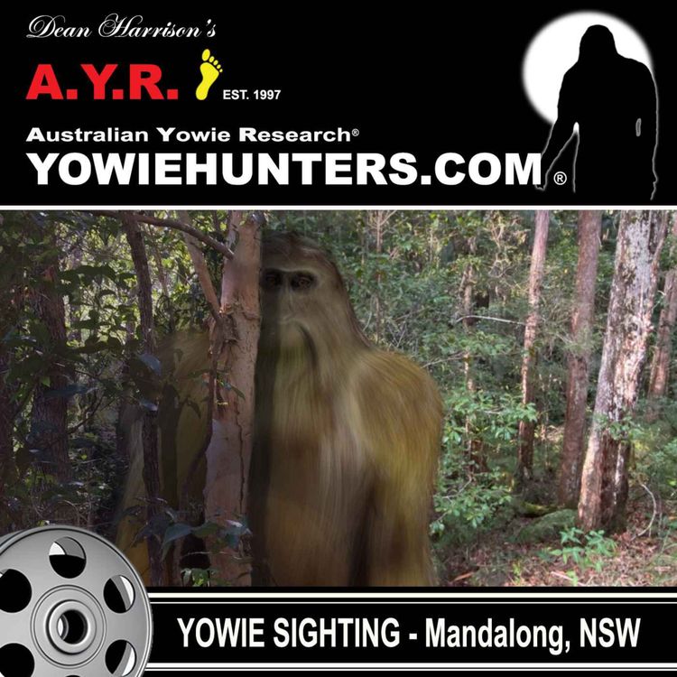 cover art for Yowie Sighting at Mandalong, New South Wales 2021
