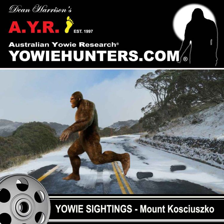 cover art for Yowie Sighting at Mount Kosciuszko, New South Wales in 2008