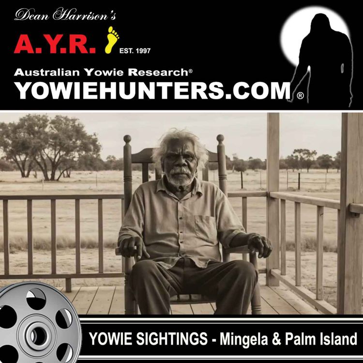 cover art for Yowie Sightings at Mingela and Palm Island, Queensland - Various Dates