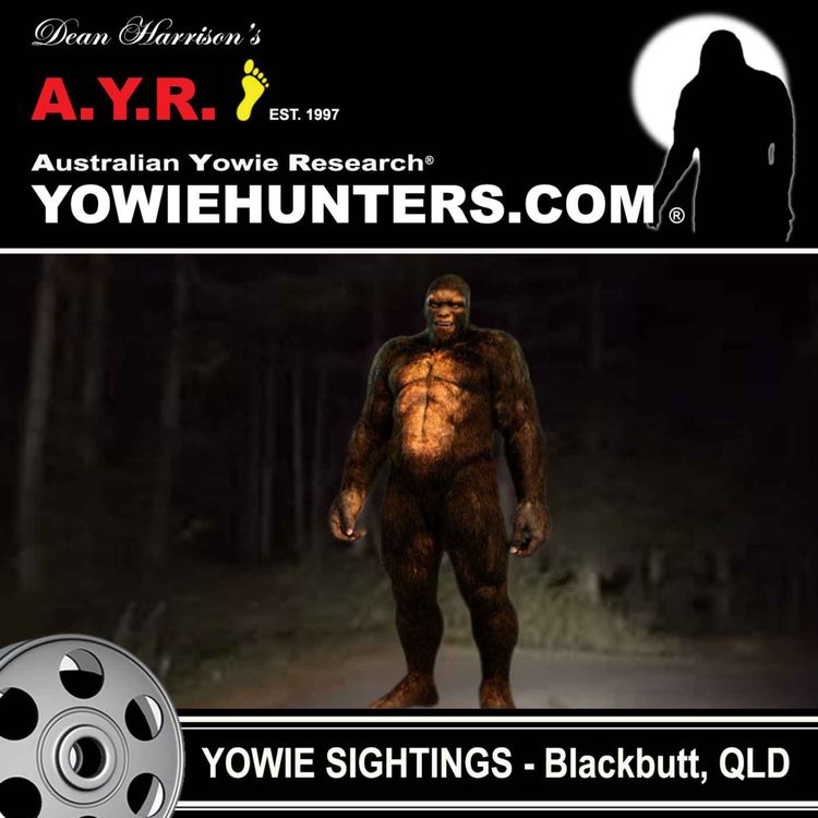 cover art for Yowie Sightings at Blackbutt, Queensland - 2000