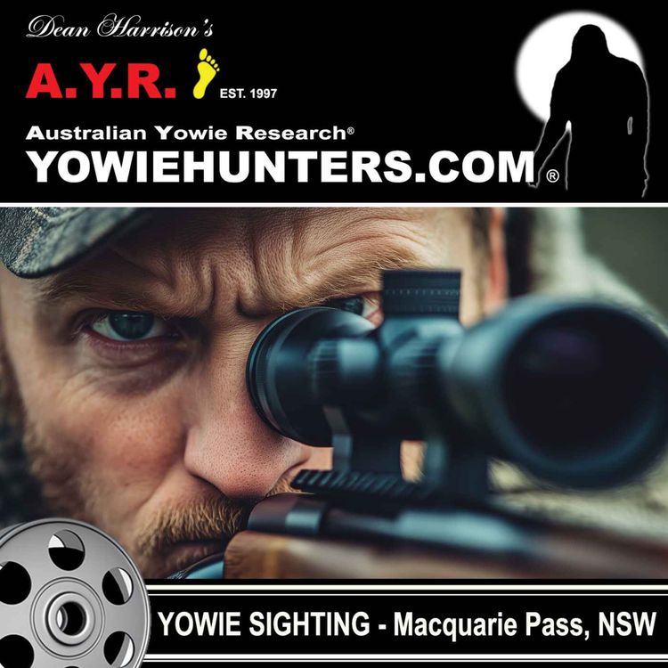cover art for Yowie Sighting at Macquarie Pass,  New South Wales - 2010