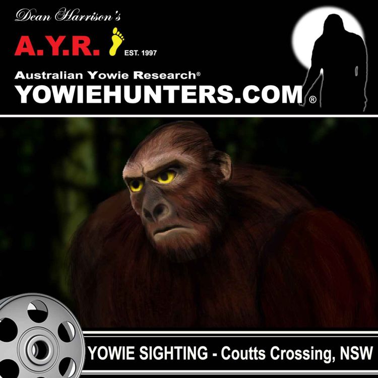 cover art for Yowie Sighting at Coutts Crossing, New South Wales -  2014