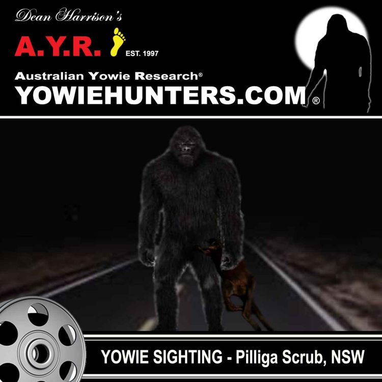 cover art for Yowie Sighting in the Pilliga Scrub, Newel Hwy, New South Wales - 1978