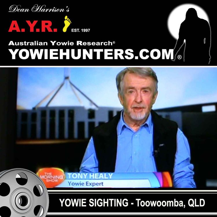 cover art for Yowie Sighting on Ch. 7 Morning Show - Toowoomba , Queensland