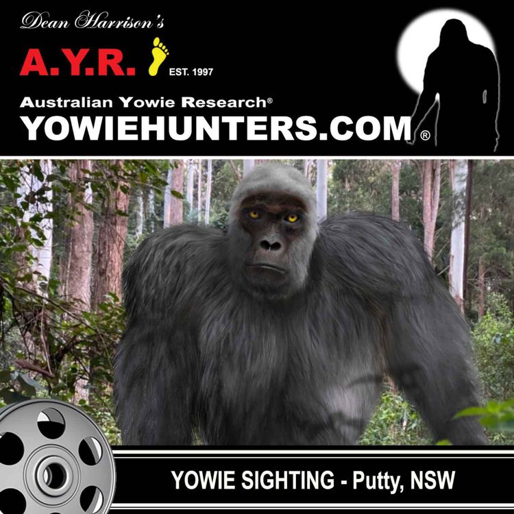 cover art for Yowie Sighting at Putty, New South Wales - 2008
