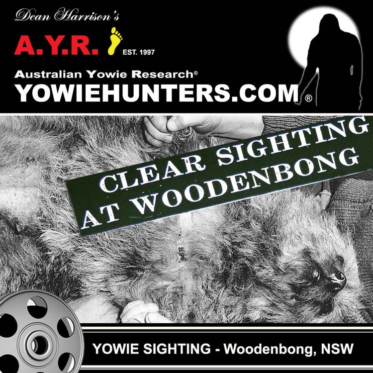 cover art for Yowie Sightings at Woodenbong, New South Wales 1977