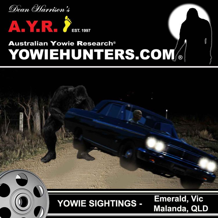 cover art for Yowie Sightings at Emerald, Vic & Malanda, QLD