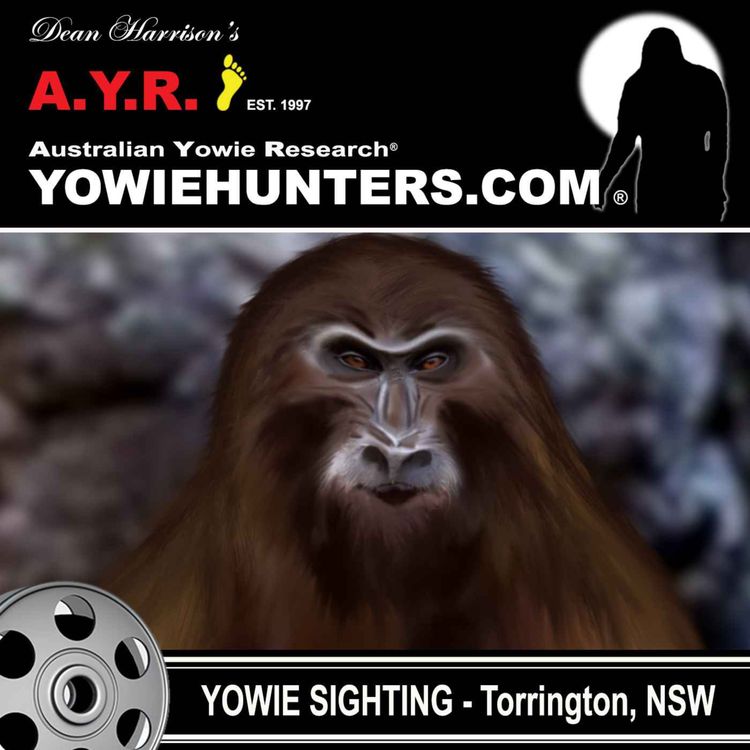 cover art for Yowie Sighting near Torrington, New South Wales
