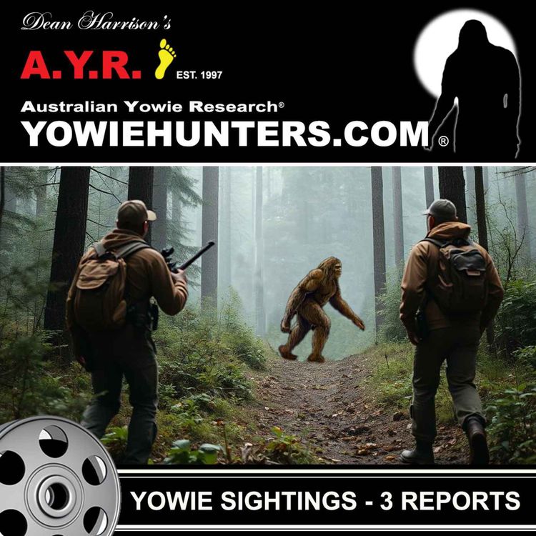 cover art for Yowie Sightings at Middle Brother, Bellingen and Harrietville
