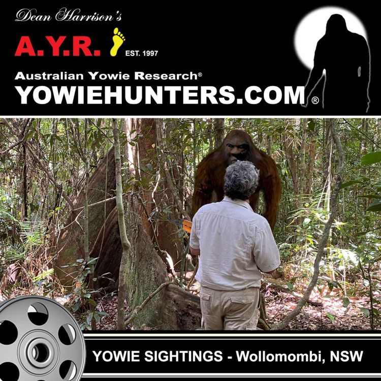 cover art for Yowie Sighting at Wollomombi, New South Wales - 1993
