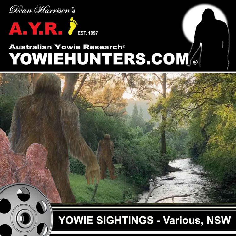 cover art for Yowie Sightings in New South Wales