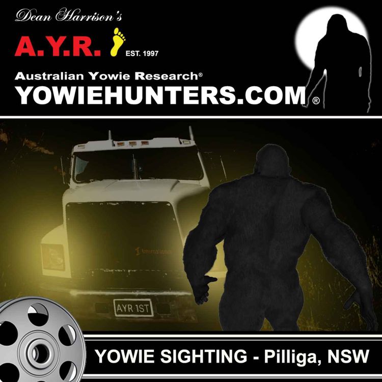cover art for Yowie Sighting in the Pilliga, New South Wales - 1994