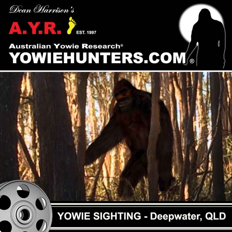 cover art for Yowie Sighting at Deepwater, Queensland - 2019
