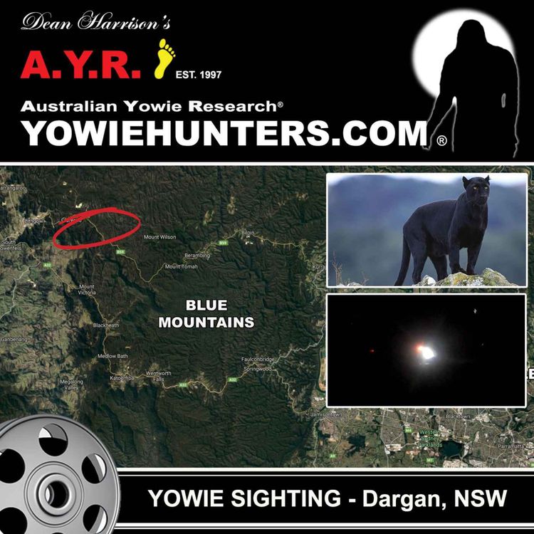 cover art for Yowie Sighting at Dargan, New South Wales - 1999