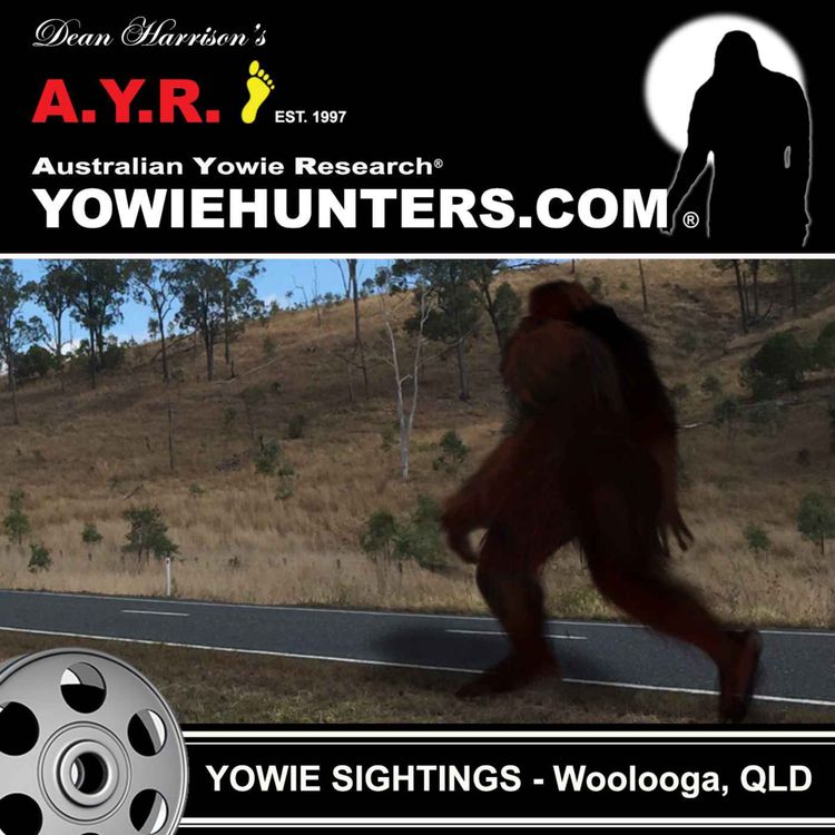 cover art for Yowie Sightings at Woolooga, Queensland - 2008 and 2012