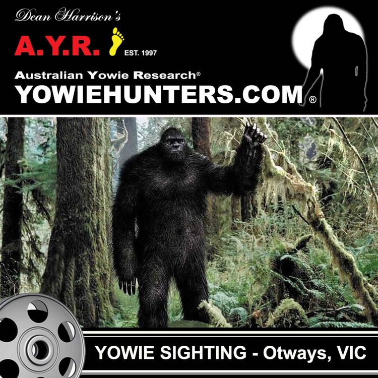 cover art for Yowie Sighting at The Otways, Victoria - 2010