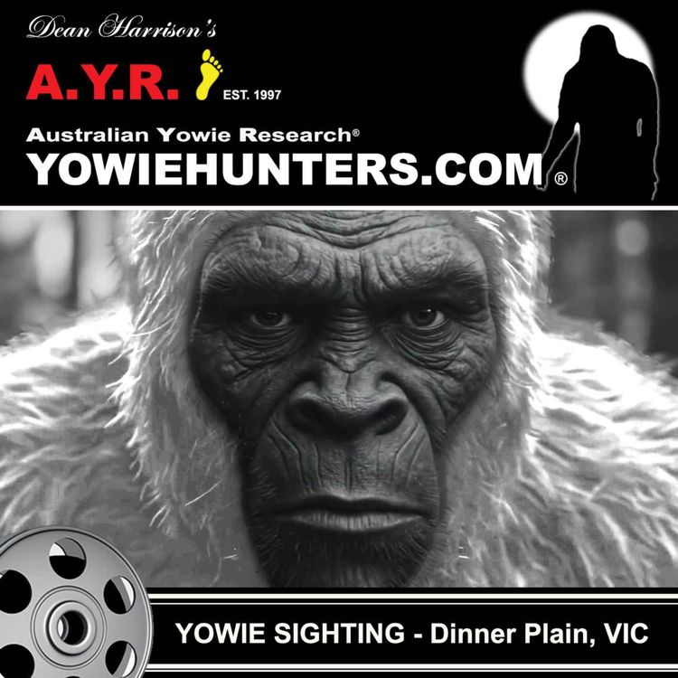cover art for Yowie Sighting at Dinner Plain - Victoria 2023