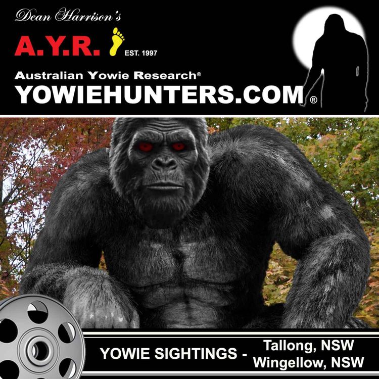 cover art for Yowie Sightings at Tallong and Wingellow - New South Wales 1990 & 2012