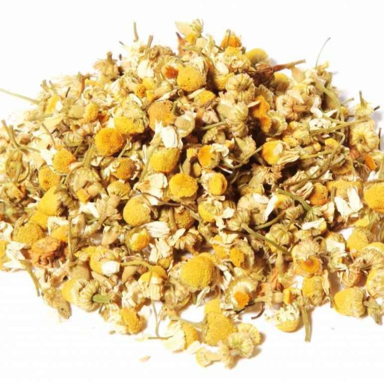 cover art for Cours de séchage à ne pas sécher...