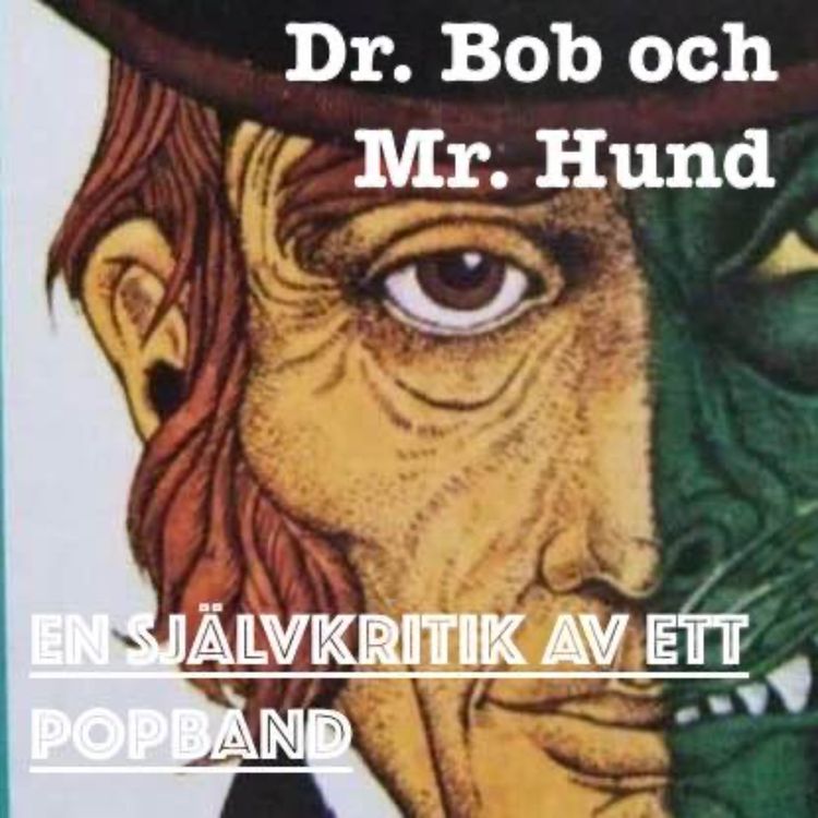 cover art for Dr. Bob och Mr. Hund 