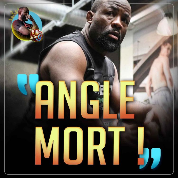 cover art for L'ANGLE MORT par Fernand Lopez